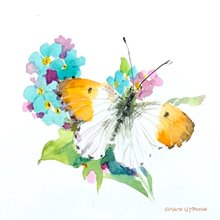 17.к Жаворонок